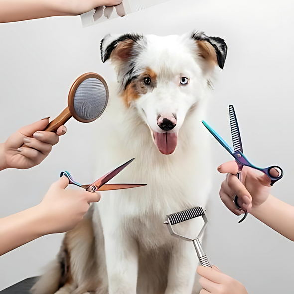 PET GROOMING ACCESSORIES