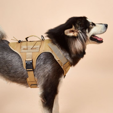 PET HARNESS