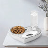 2 In 1 Pet Water Food Bowl